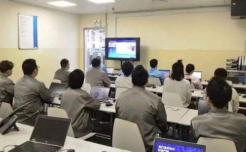 惠企助发展 商务区擦亮“金鸡湖服务”品牌，深化商务咨询服务新篇章